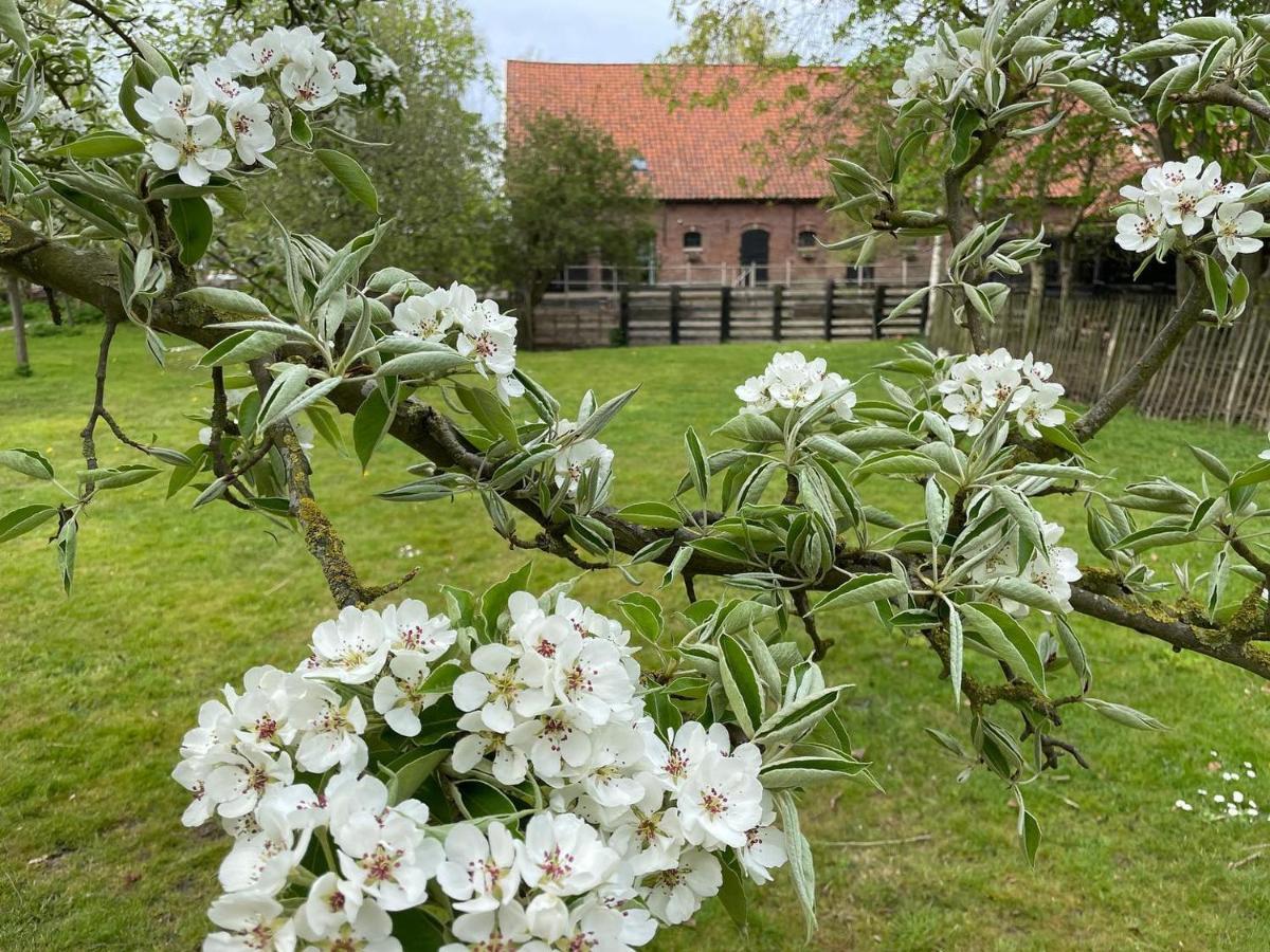 De Zeeuwsche Hoeve Kerkwerve Exteriér fotografie