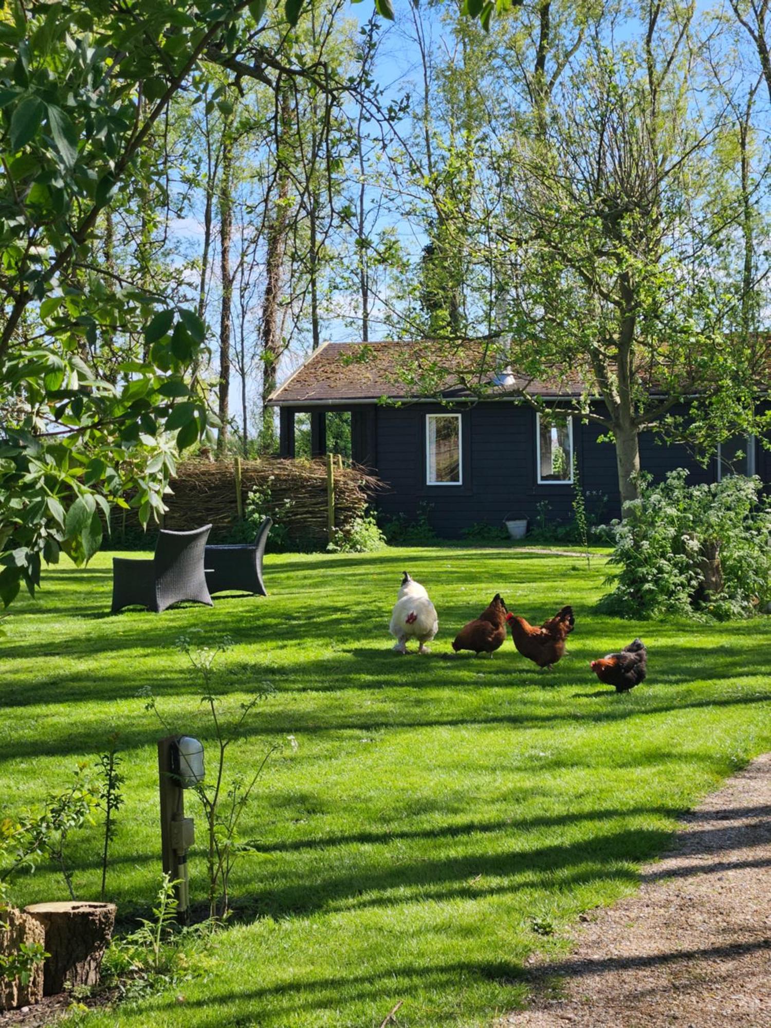De Zeeuwsche Hoeve Kerkwerve Exteriér fotografie