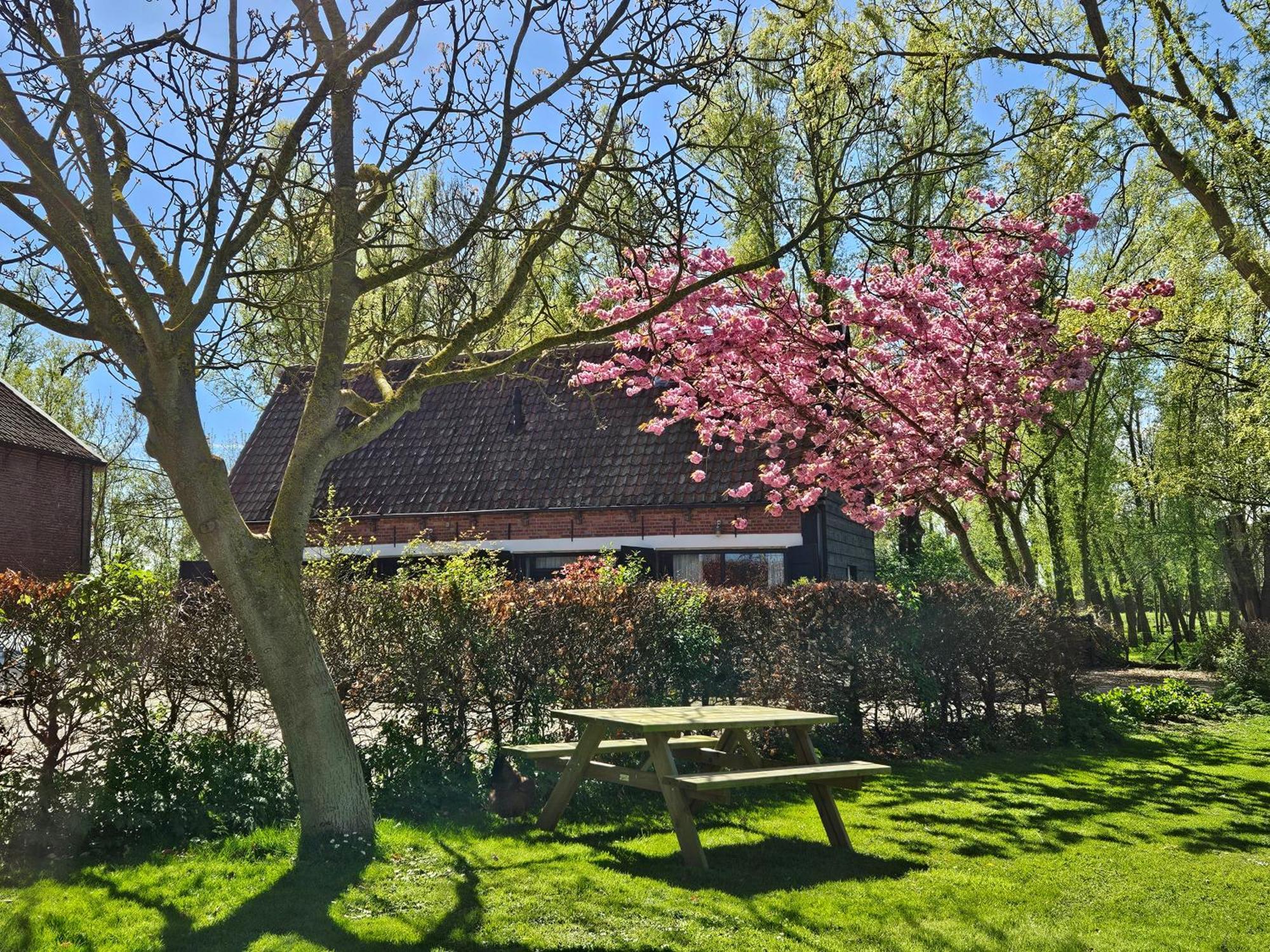 De Zeeuwsche Hoeve Kerkwerve Exteriér fotografie