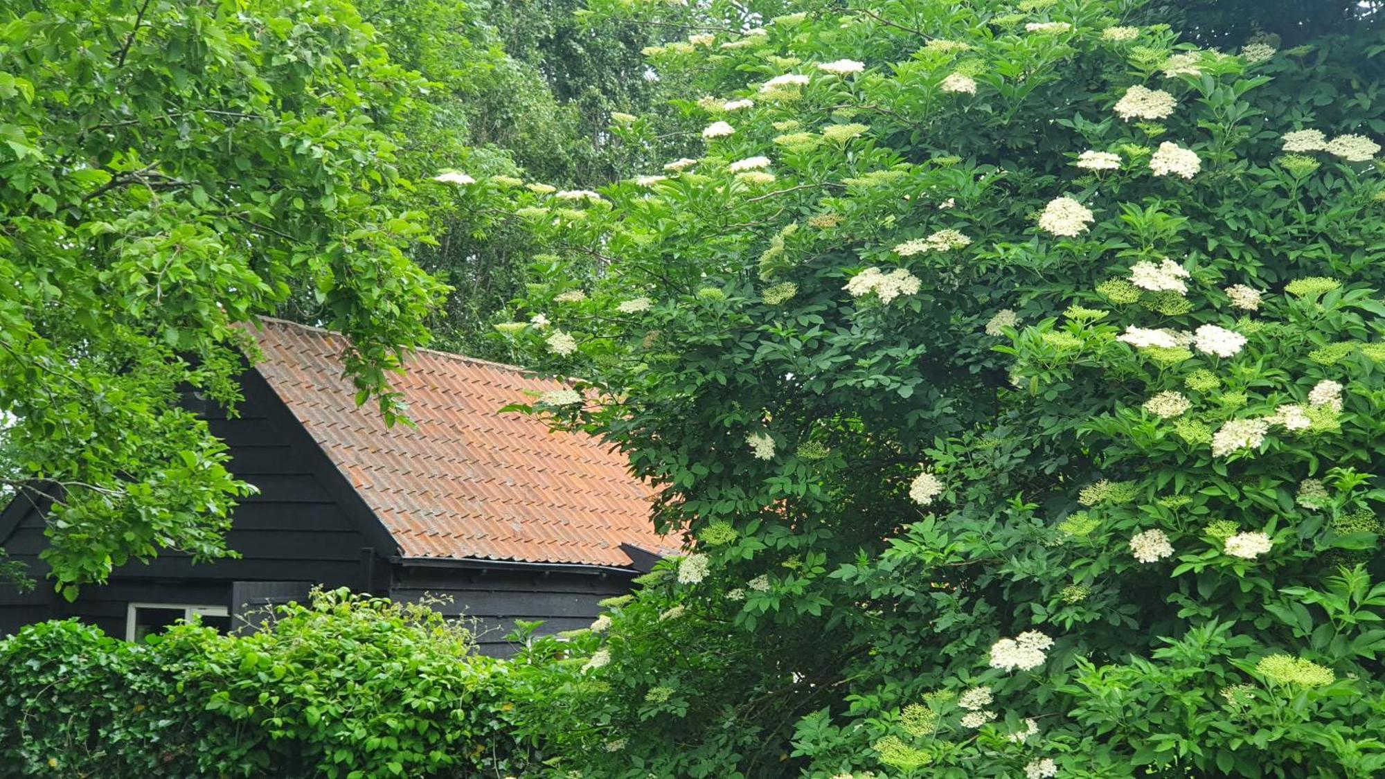 De Zeeuwsche Hoeve Kerkwerve Exteriér fotografie