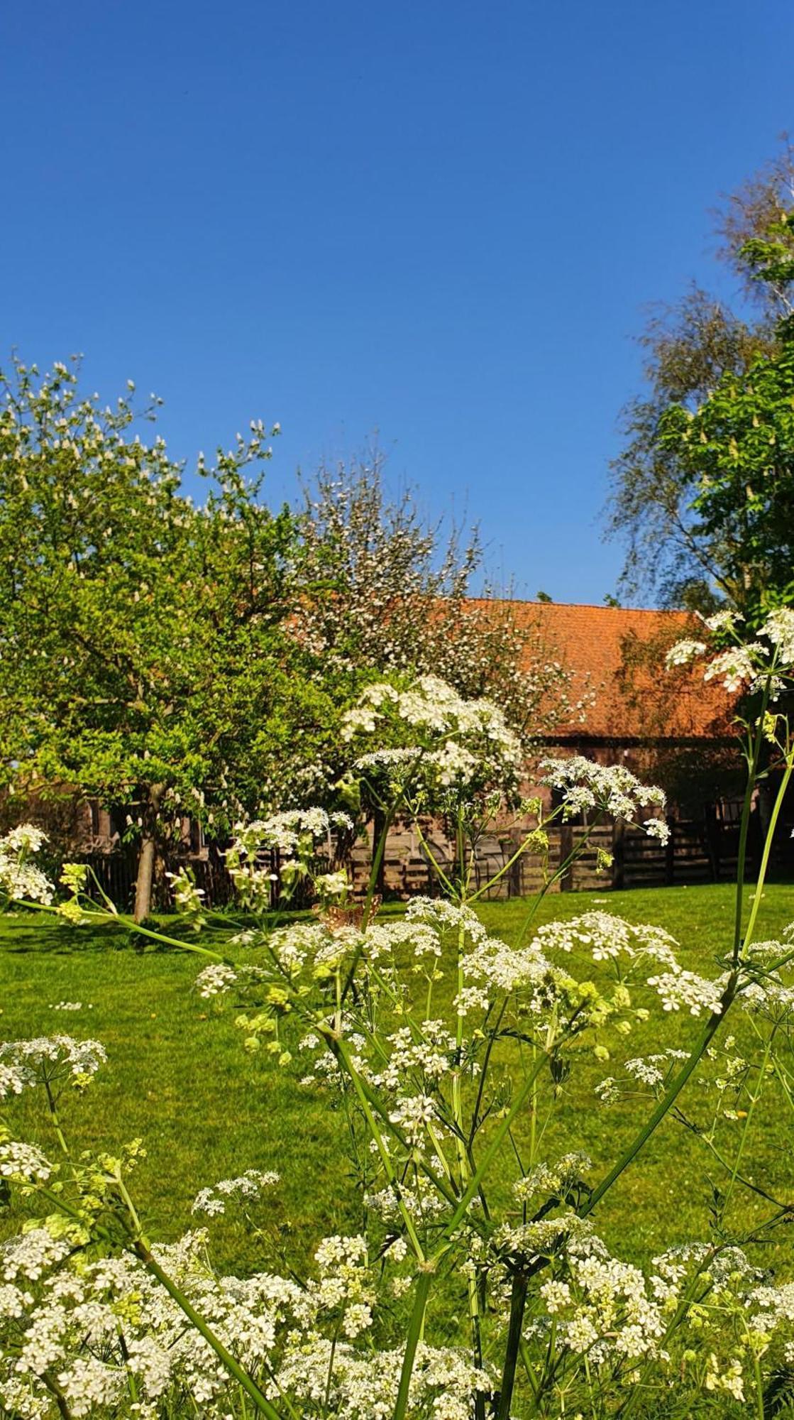 De Zeeuwsche Hoeve Kerkwerve Exteriér fotografie