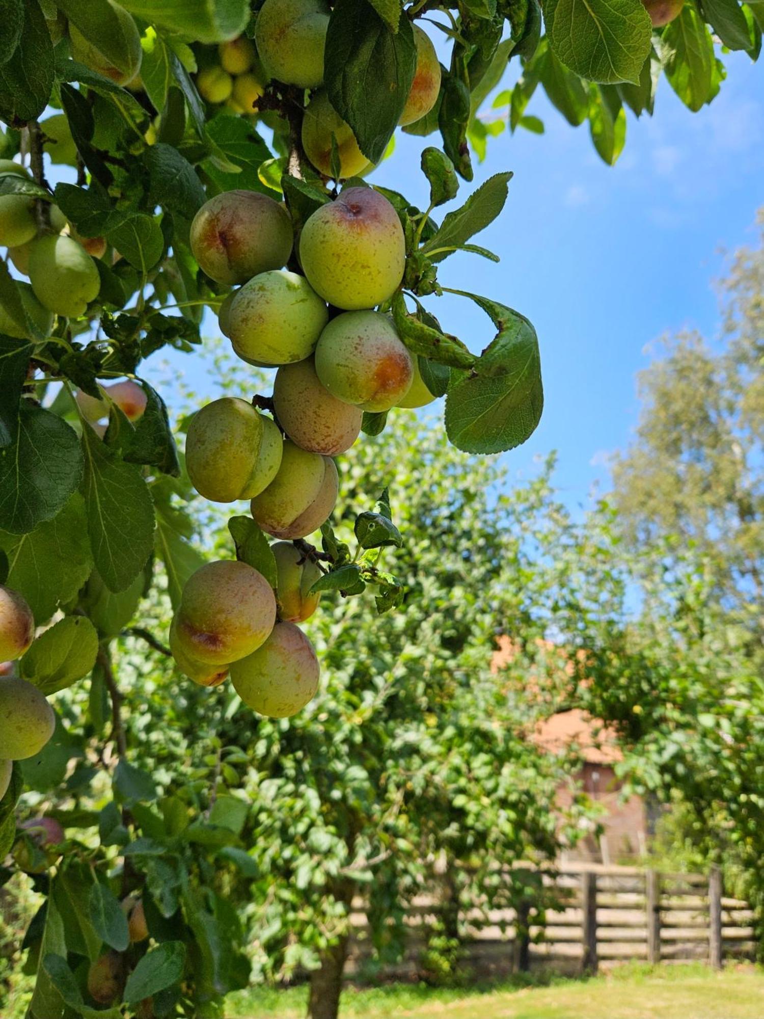 De Zeeuwsche Hoeve Kerkwerve Exteriér fotografie