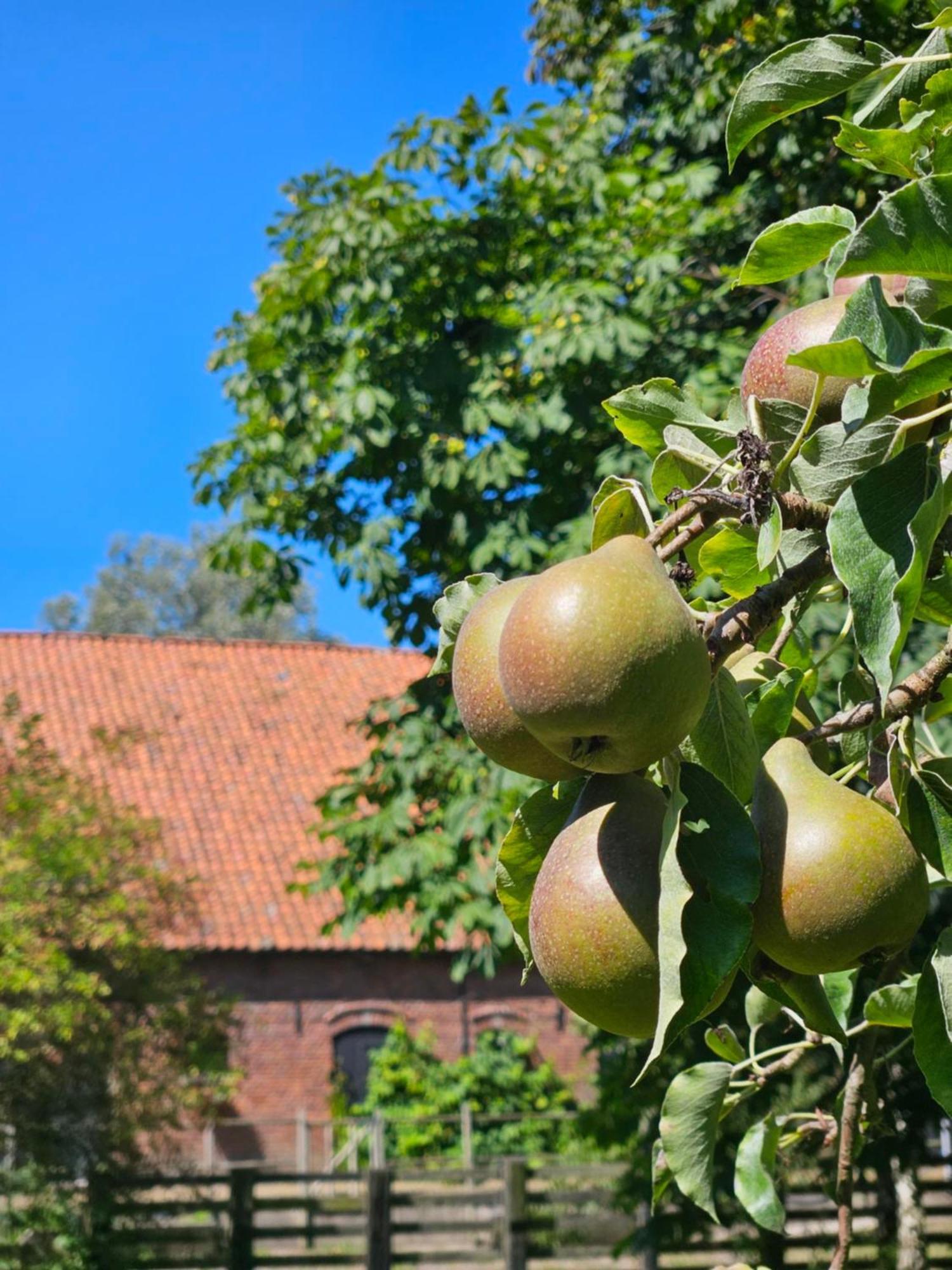 De Zeeuwsche Hoeve Kerkwerve Exteriér fotografie