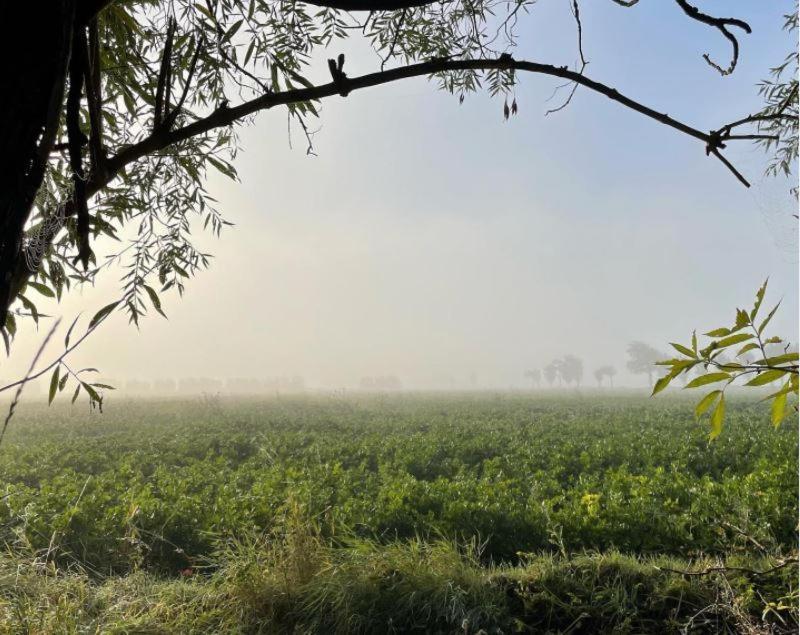 De Zeeuwsche Hoeve Kerkwerve Exteriér fotografie